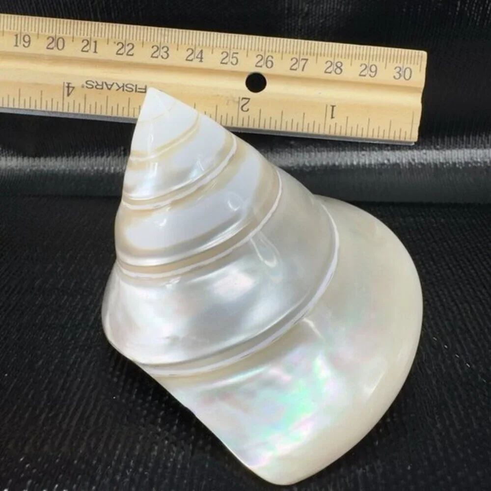 Natural Abalone Shell Iridescent Smooth Niloticus Trochus Pearl Sea Shell Decor‎